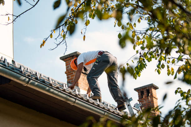 Best Roof Replacement Cost  in Woodfin, NC