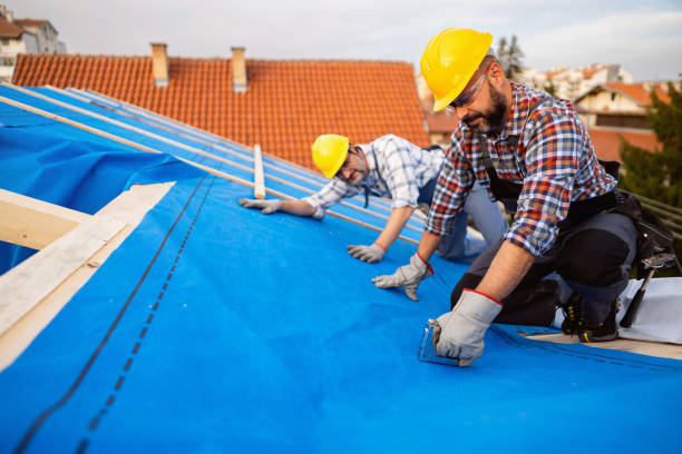 Professional Roofing Contractor in Woodfin, NC