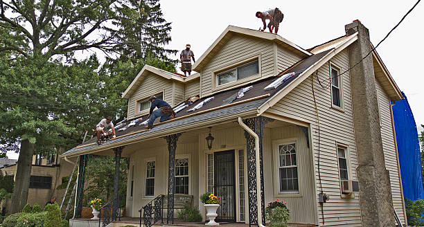 Best Roof Maintenance Services  in Woodfin, NC