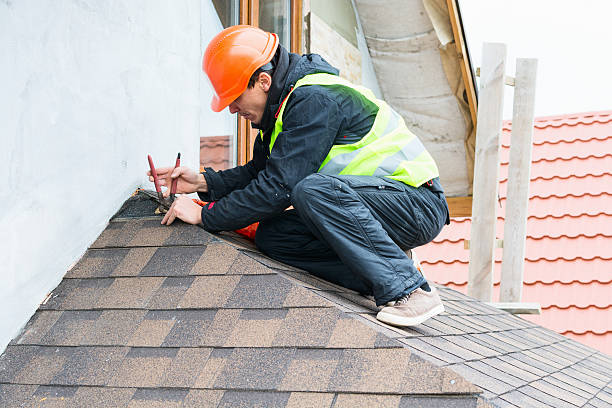 Best Roof Gutter Cleaning  in Woodfin, NC